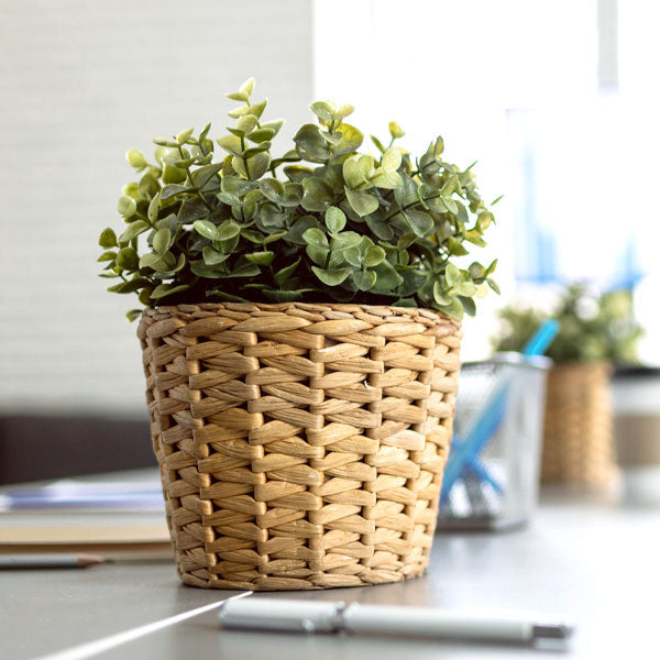 Office Decor Desktop Plants