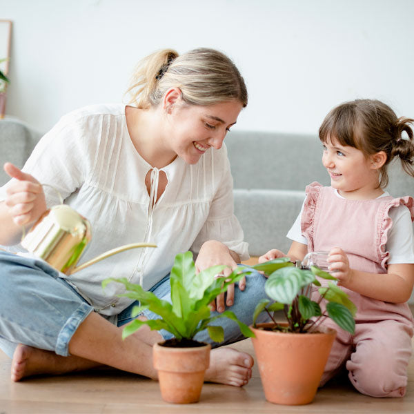 Beginner-Friendly Plant Combo