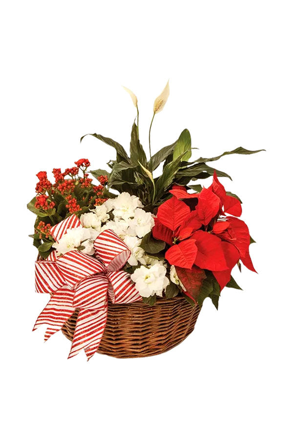 Everlasting Love Garden