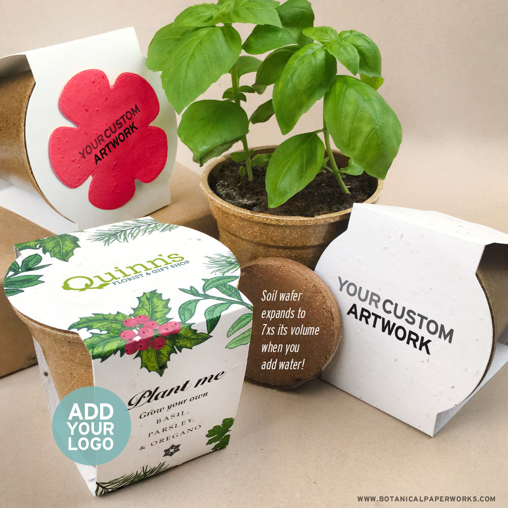 Flower Grow Kit