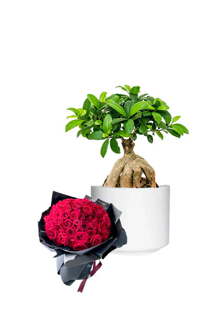 Harmony Gift Set - Bonsai & Rose Bouquet