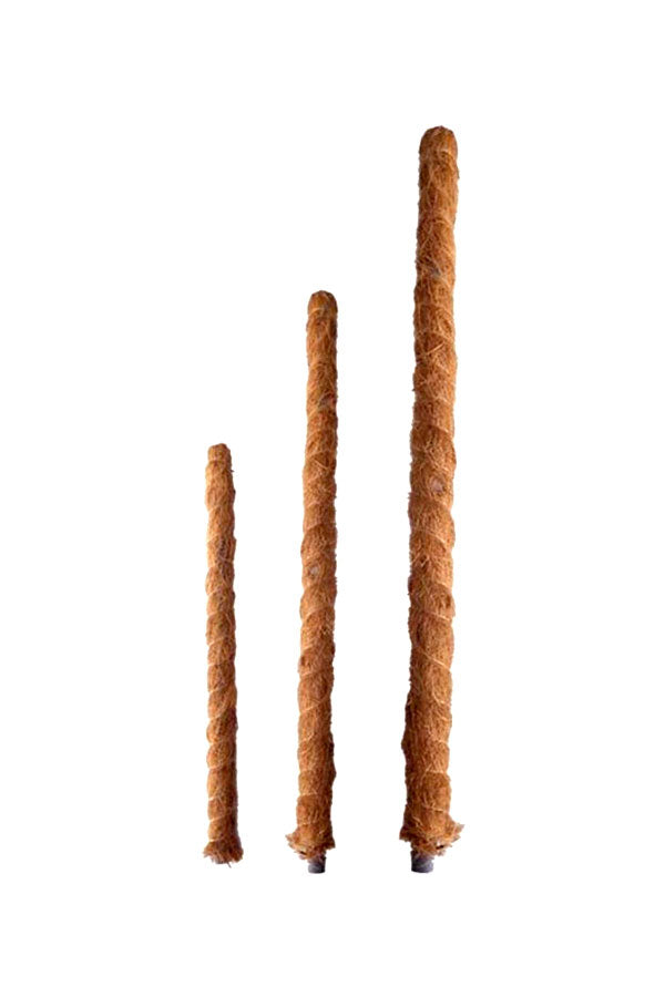 Moss Pole Handy Tool for Indoor Climbing Plants Support