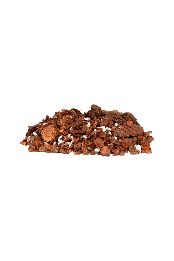 Orchid Potting Mix – Best Soil Blend for Healthy Orchid Roots
