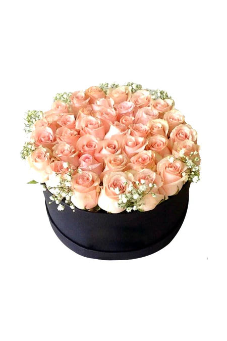 Sincere Apologies Bloom Box
