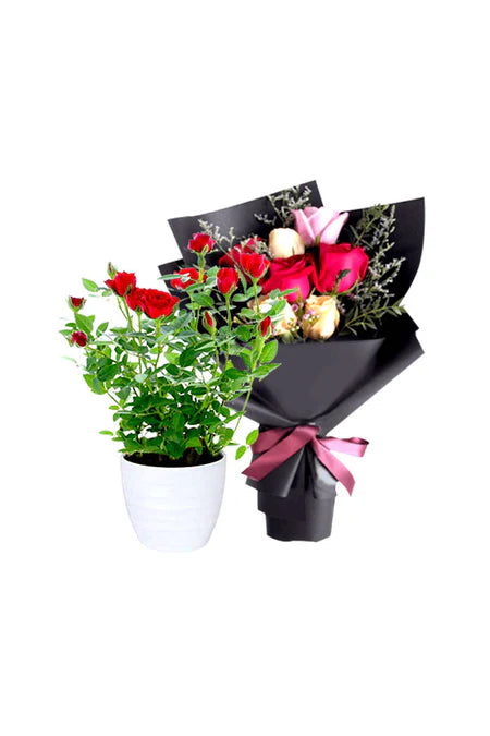 Success Blooms of Roses bouquet – luxury rose arrangement for celebration and achievement gifting in Riyadh