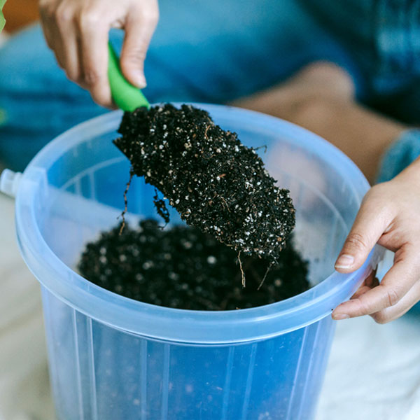 Care & Fertilizer