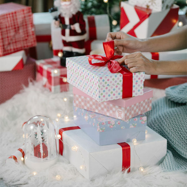 Christmas Day Gifts - Holiday Plants