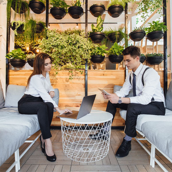 Corporate Green Gifts, Plant Care & Green Wall Solutions | Enhance Your Workspace