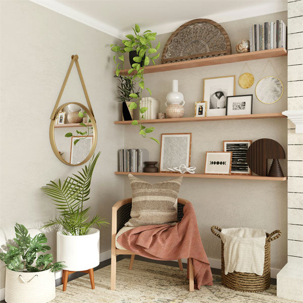 Hard-to-Kill Plants - Resilient Greenery
