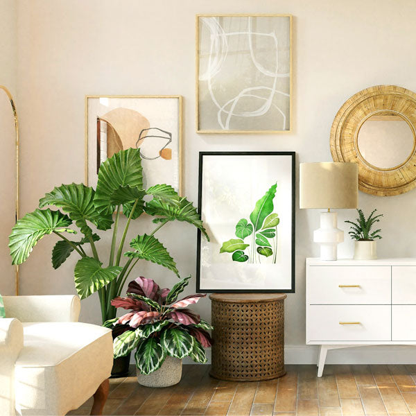 Living Room Plants -Air Purifying Greenery