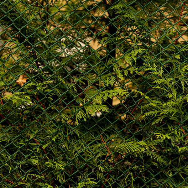 Netting & Fensing