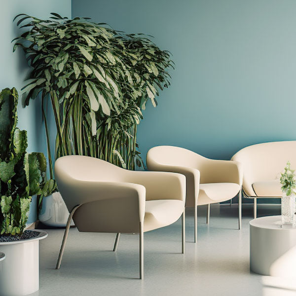 Office Decor Corner Plants