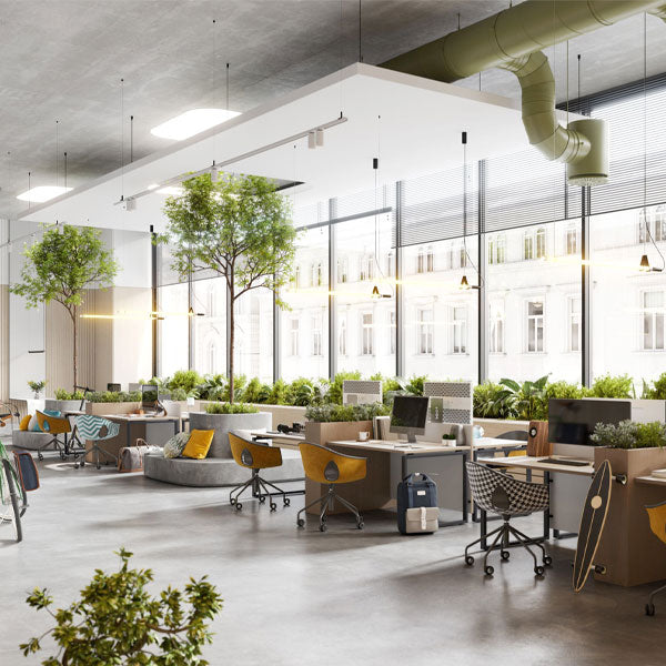 Office Plants for a Healthy Workspace