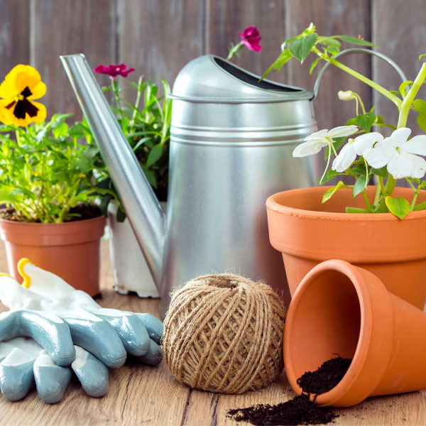 Planters & Accessories