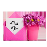 Gift Add On