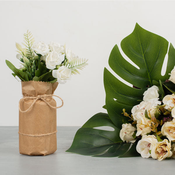 Plant Gifts -Perfect for Any Occasion