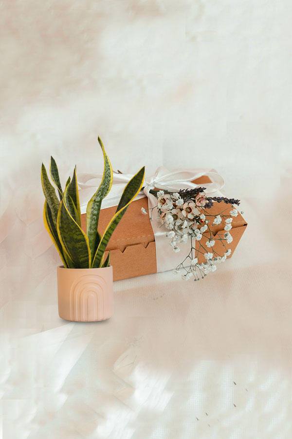 Welcome Baby Green Gift