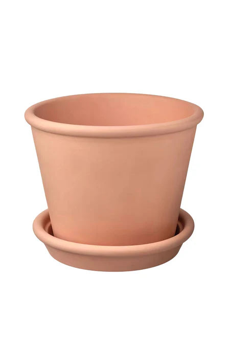 Clay Pot Planters - Eco-Friendly Indoor Gardening