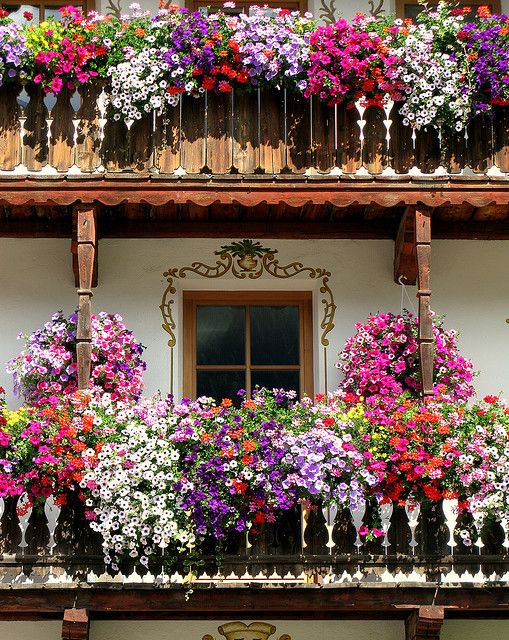 Floral Fantasy Balcony Combo