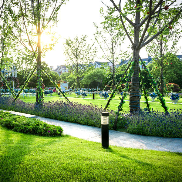 Garden Grass Installation