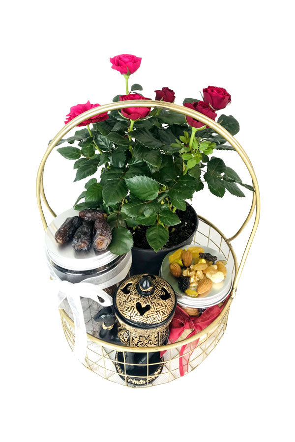 Success in Bloom – Mixed Mini Plant Box