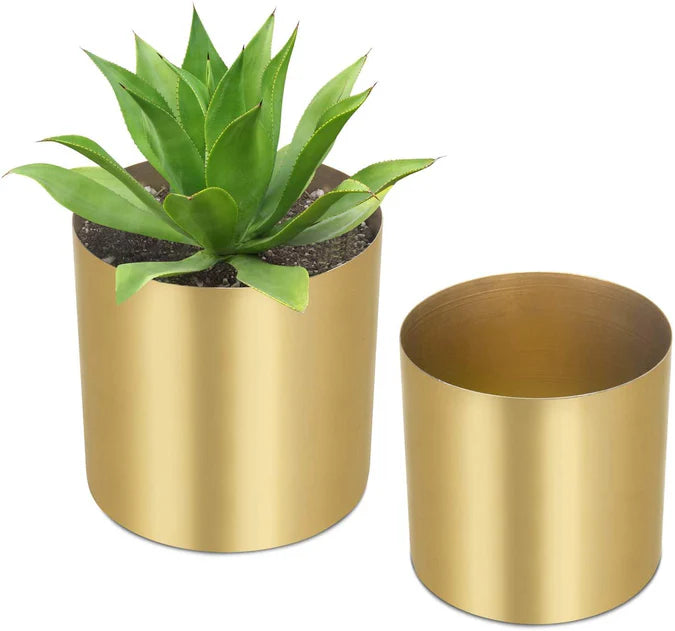 Stainless Steel Circular Planters With Gold Finishing