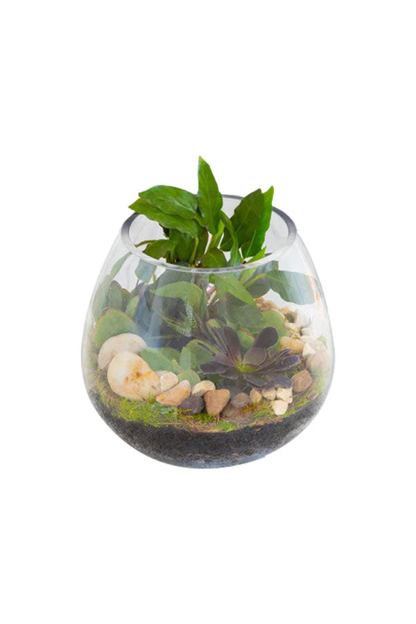 Executive Glass Garden Terrarium – luxury green gift for office or home in Riyadh

