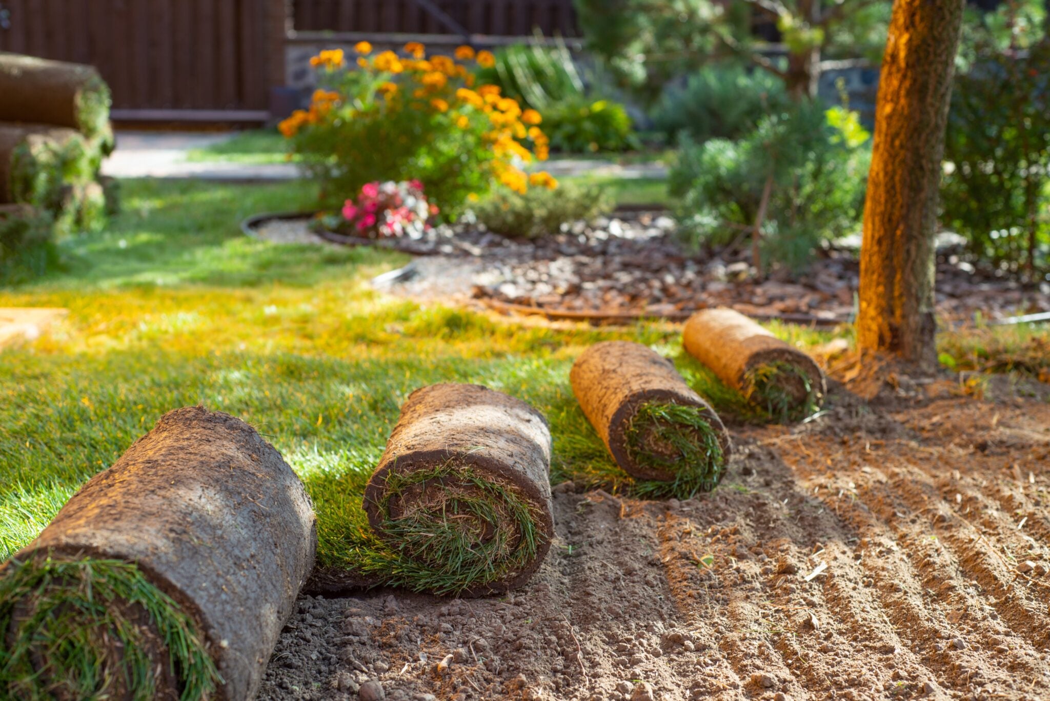 Natural Sod Installation Package